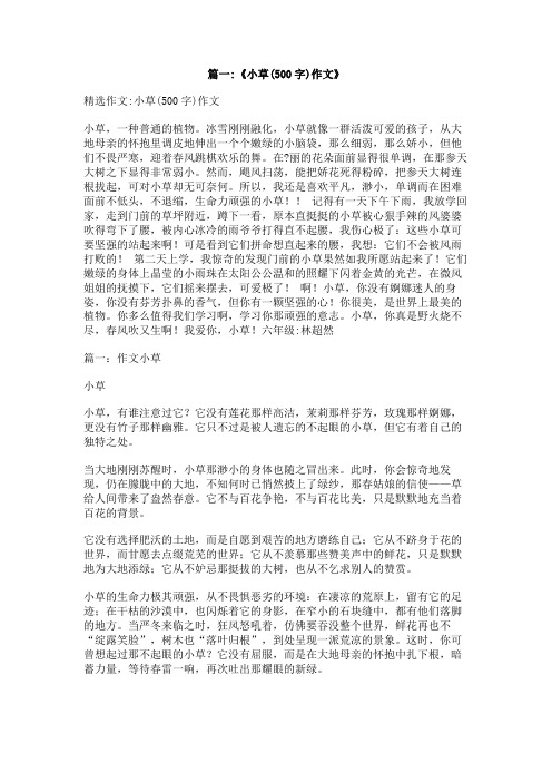 夏天的小草作文500字