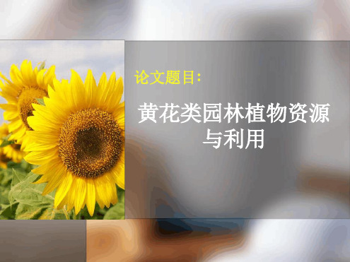 完整版黄花类园林植物资源与利用