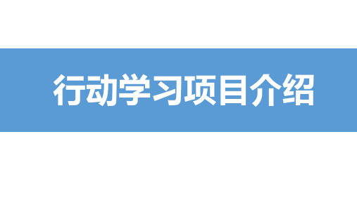 行动学习项目介绍