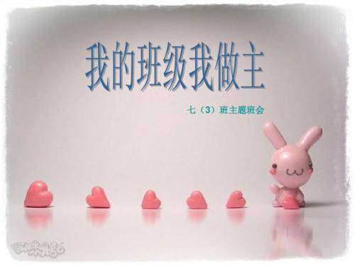我的班级我做主