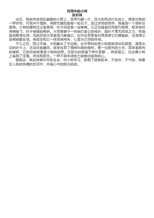 优秀作文：风雨中的小树