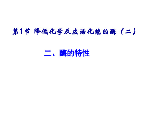 酶的特性