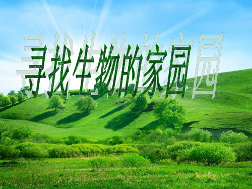 苏教版六年级下册寻找生物的家园课件PPT