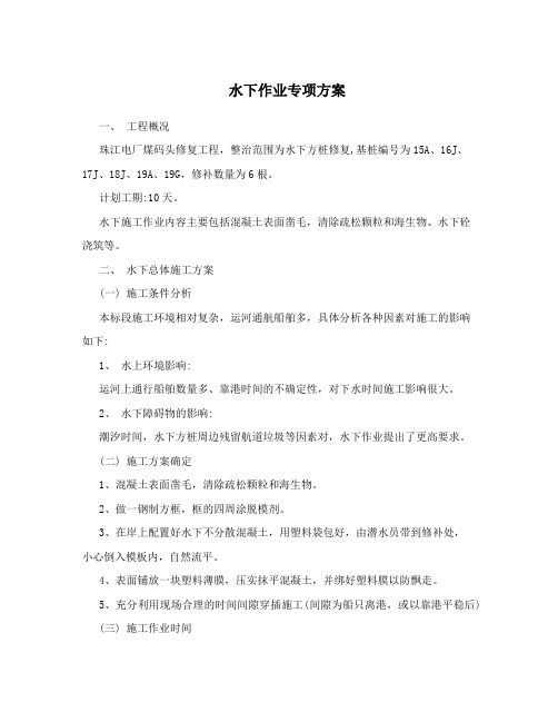 水下作业专项方案