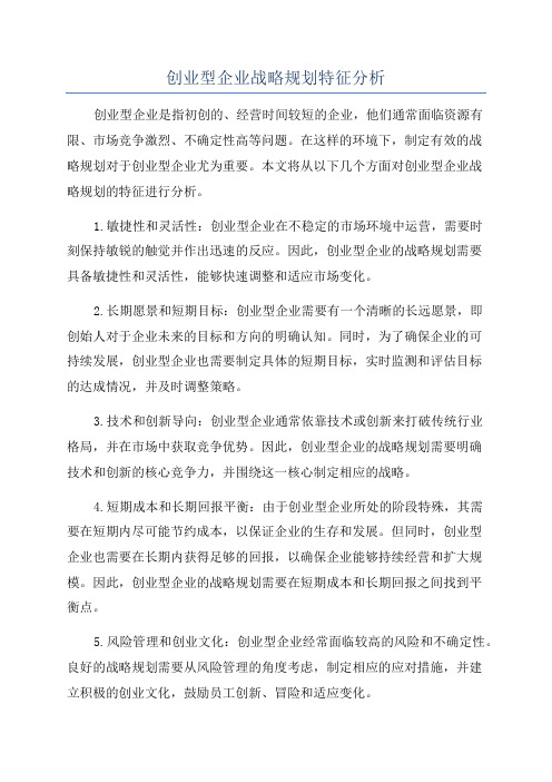 创业型企业战略规划特征分析