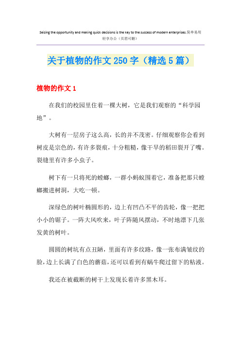 关于植物的作文250字(精选5篇)
