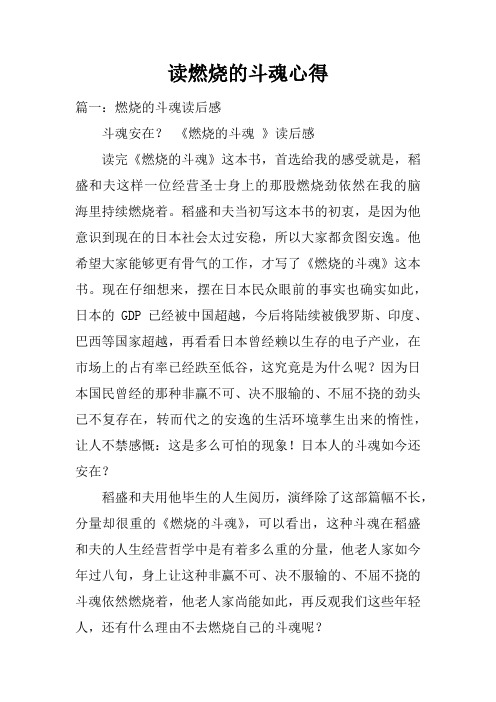 读燃烧的斗魂心得doc
