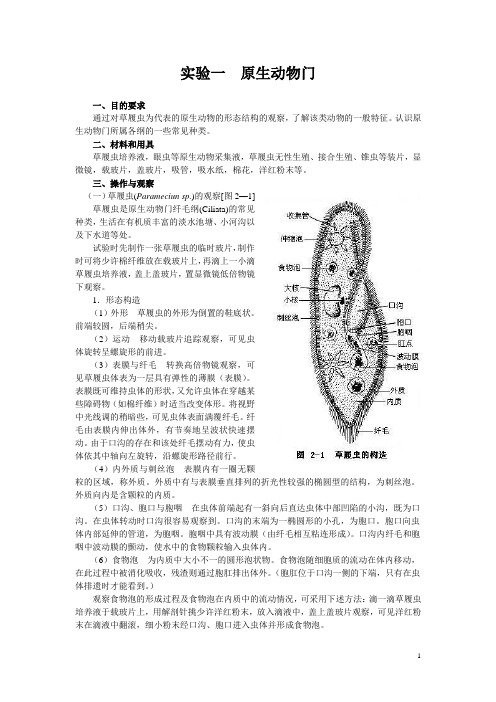 动物生物学部分实验.