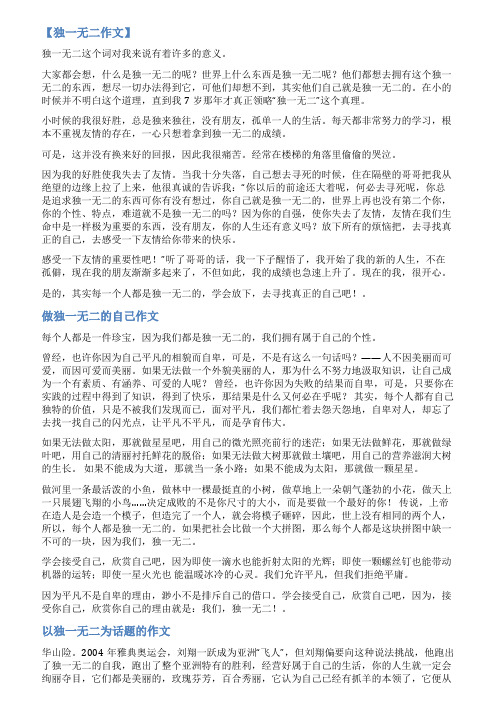 独一无二范文