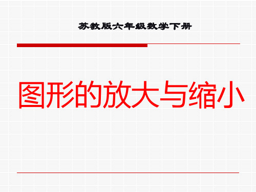《图形的放大与缩小》PPT课件公开课获奖课件