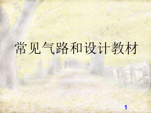 常见气路和设计培训教程ppt课件