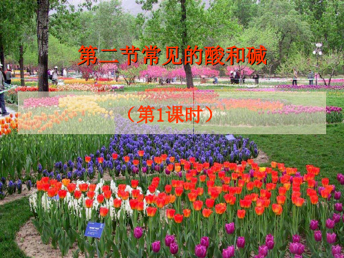 沪教版九年级化学下册《常见的酸和碱》PPT高效课堂 获奖课件 (5)(vip免费)