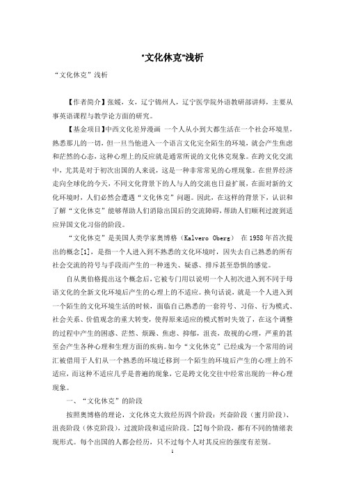 “文化休克”浅析
