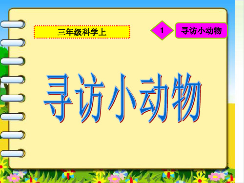 三年级上册科学-寻访小动物优秀课件教科版课件PPT