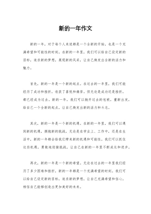新的一年作文