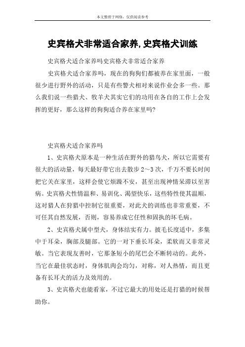 史宾格犬非常适合家养,史宾格犬训练