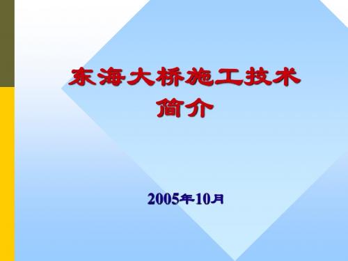 东海大桥施工1