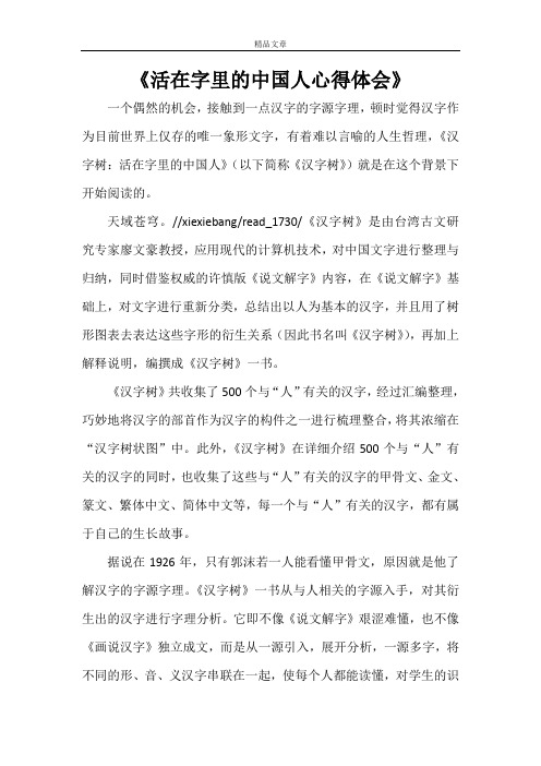 《活在字里的中国人心得体会》