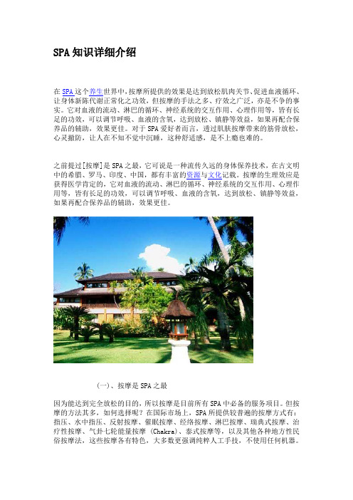 SPA知识详细介绍