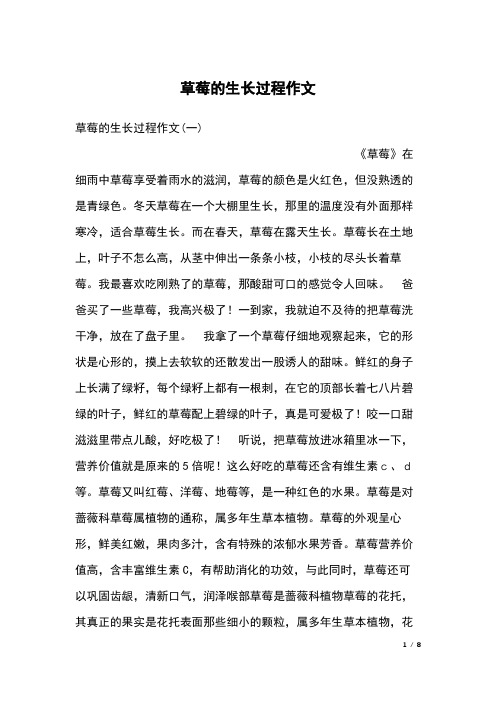 草莓的生长过程作文