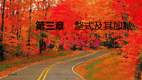 七年级数学上册 第三章 整式及其加减 3.1 字母表示数导学课件