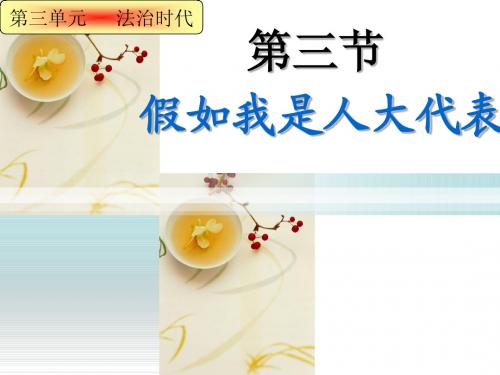 假如我是人大代表 (2)