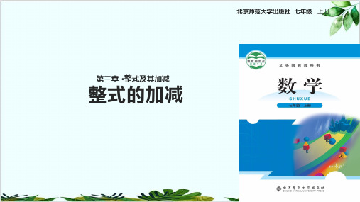 七年级上册《整式的加减》北师大精品课件PPT