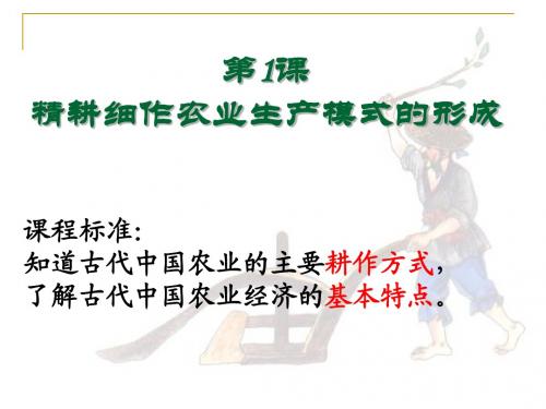 [第1课 精耕细作农业生产模式的形成 课件 (08岳麓版必修2)
