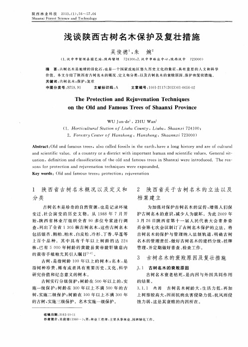 浅谈陕西古树名木保护及复壮措施