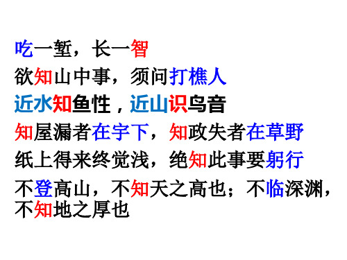 人的认识从何而来最新公开课课件