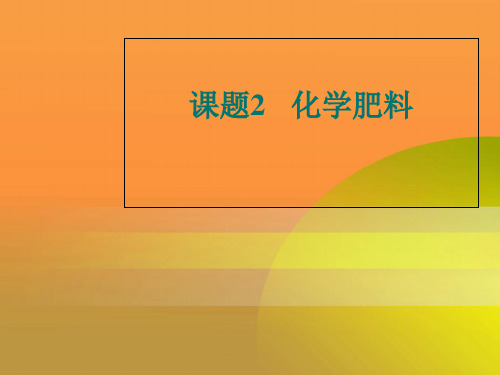 初中化学九下11.2 化学肥料 课件 _11