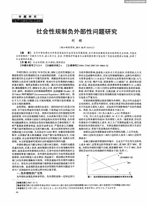 社会性规制负外部性问题研究