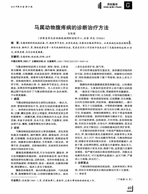 马属动物腹疼病的诊断治疗方法
