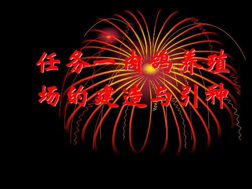 肉鸽的养殖