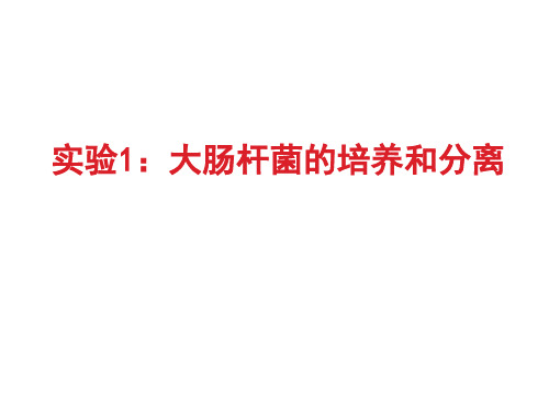 高中生物选修一实验1：大肠杆菌的培养和分离-浙科版(共30张PPT)