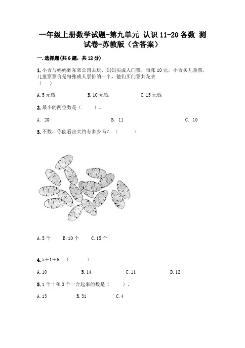 一年级上册数学试题-第九单元 认识11-20各数 测试卷-苏教版(含答案)