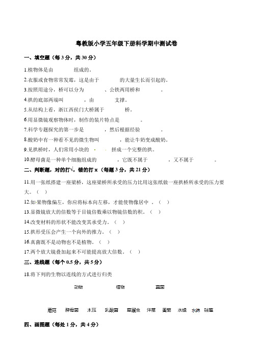 五年级下册科学试题-期中测试卷   粤教版(含解析)
