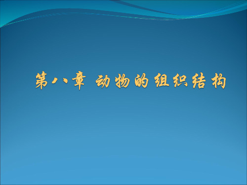 动物的组织结构
