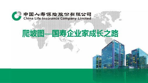 国寿基本法爬坡图国寿企业家成长之路17页