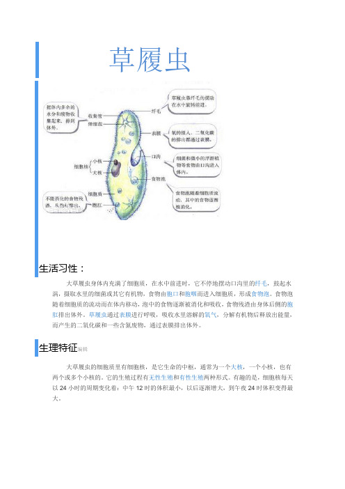 草履虫