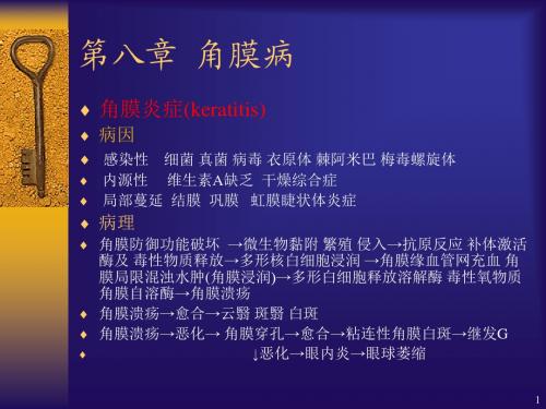 角膜病课件