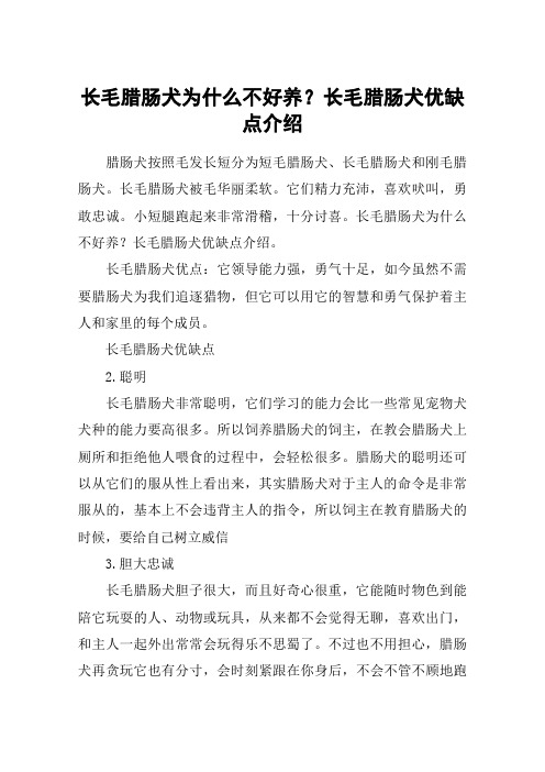 长毛腊肠犬为什么不好养？长毛腊肠犬优缺点介绍