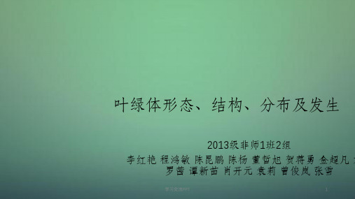 叶绿体形态、结构、分布及发生课件