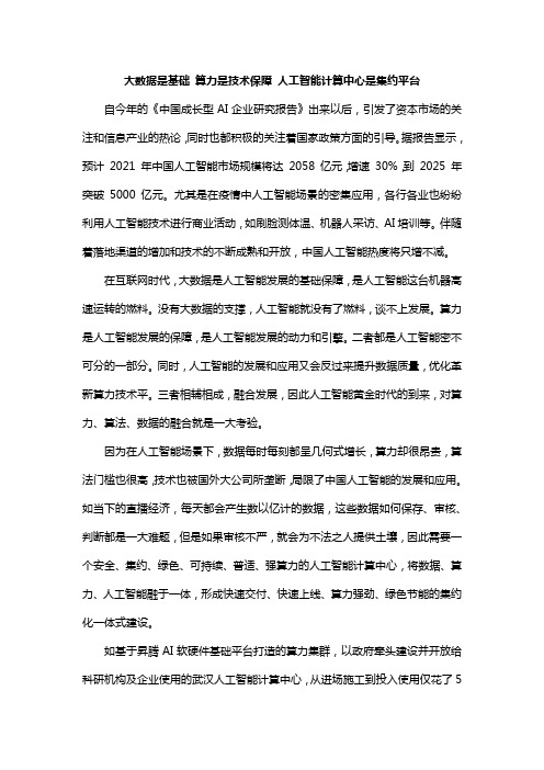 大数据是基础 算力是技术保障 人工智能计算中心是集约平台
