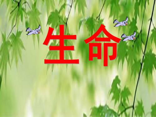 第9课《谈生命》课件