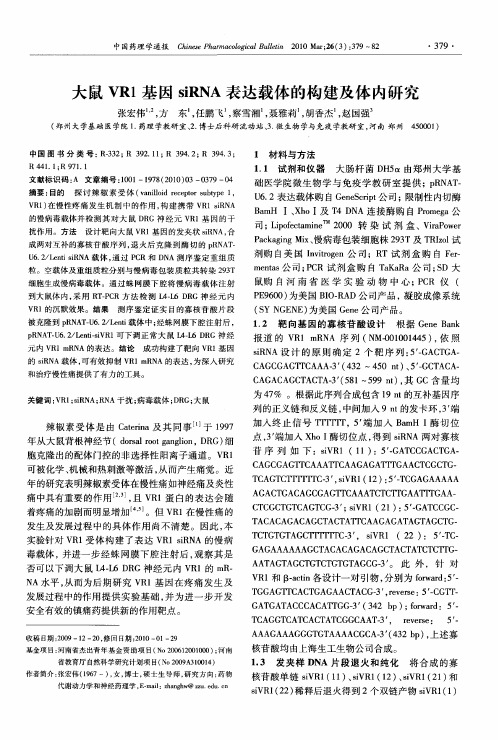 大鼠VR1基因siRNA表达载体的构建及体内研究