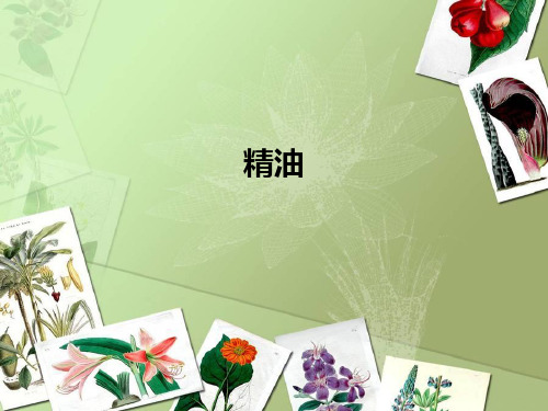 精油 PPT课件