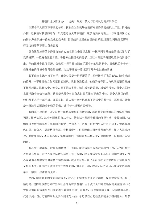 偶遇机场炒作现场：一次对偏见与多元的深刻反思