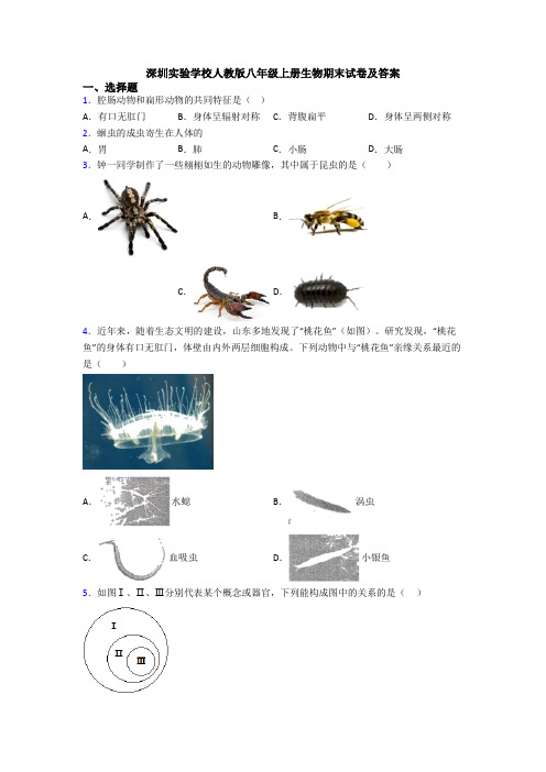 深圳实验学校人教版八年级上册生物期末试卷及答案