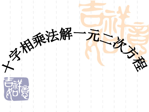 十字相乘法解一元二次方程 (2)